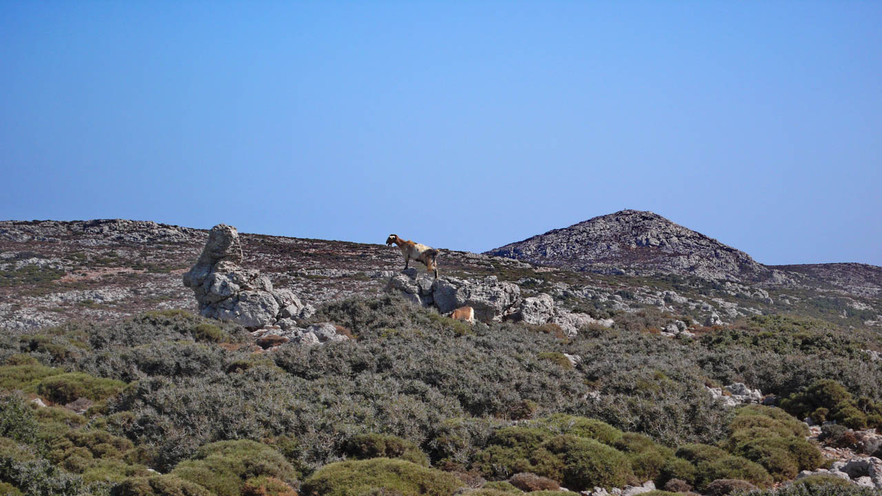 2011-09-20 14-28-48 BP